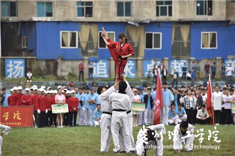 20160422162505490.jpg 10.jpg