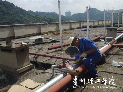 20160317112502137.jpg 3.jpg